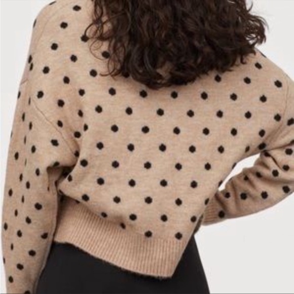 H&M Fine-Knit Polka Dot Wool Blend Sweater - Picture 2 of 6
